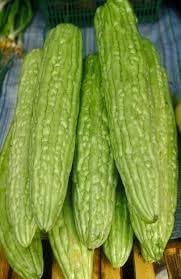 Bitter Melon Gourd Seeds for Planting - 100 pcs
